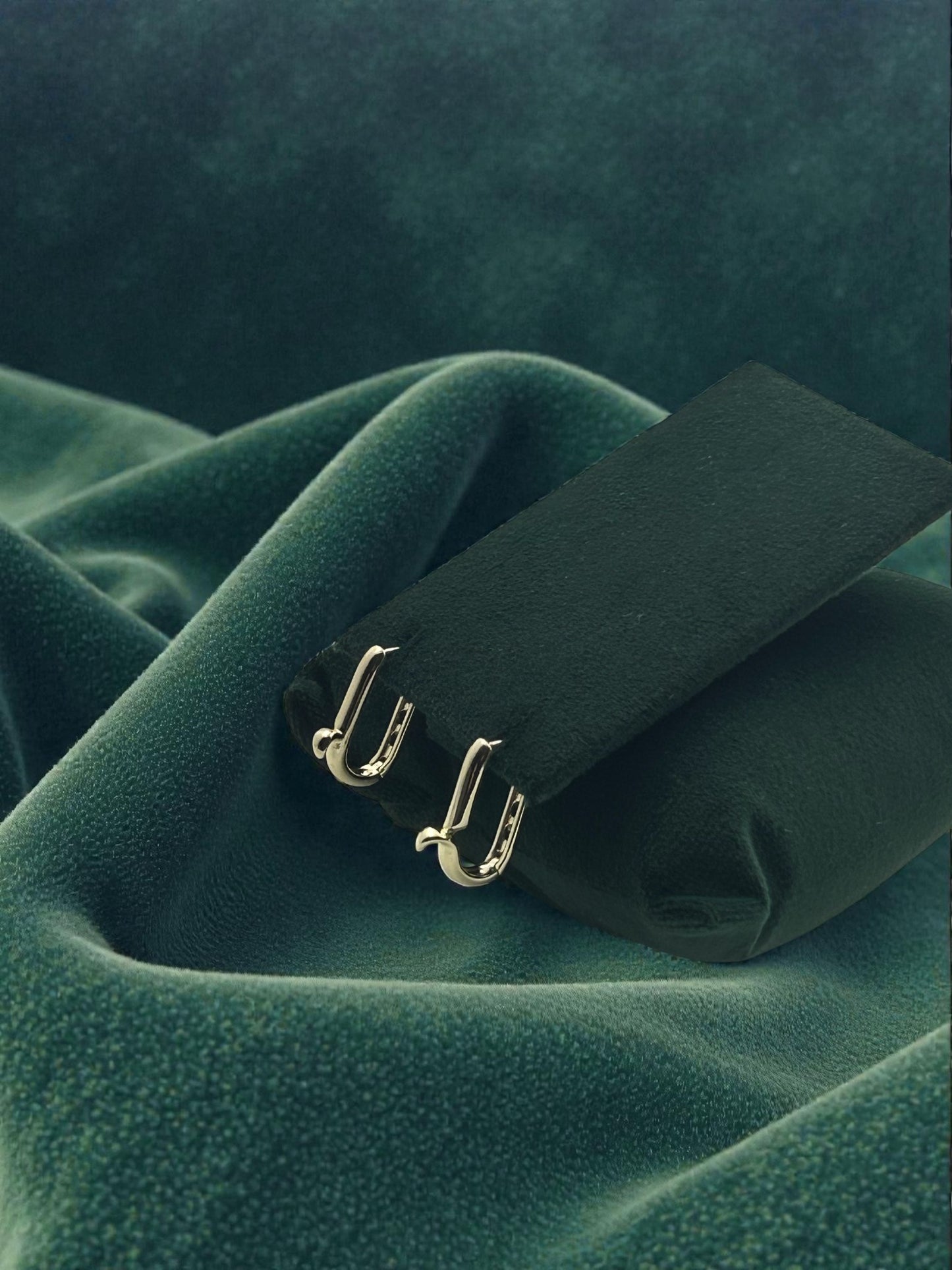 Oval Hoop Earrings
